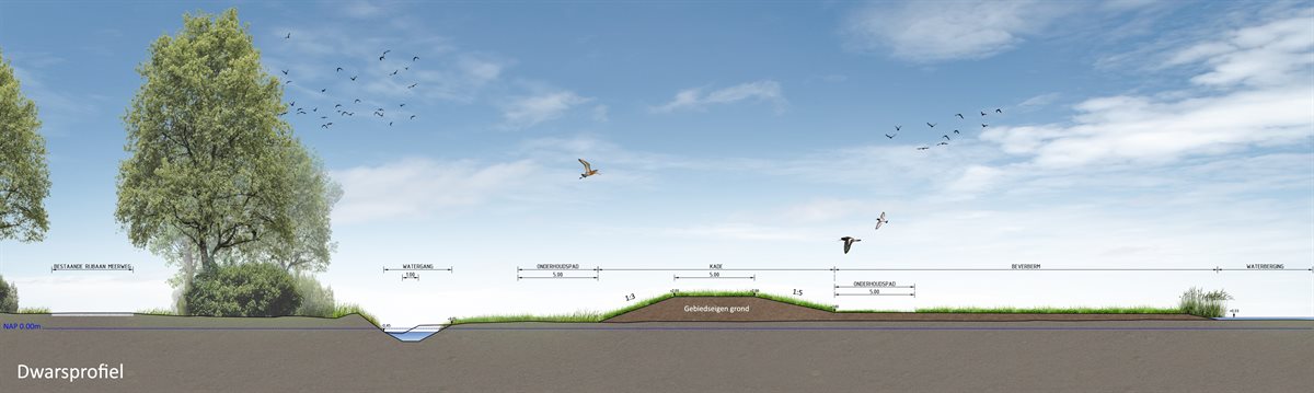 Een schematisch dwarsprofiel van Noordma