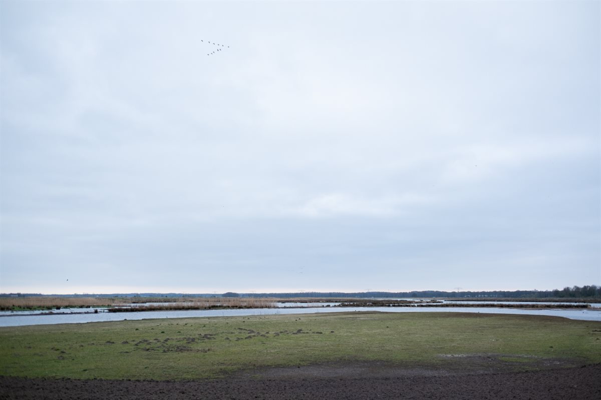 Opening Noordma_9 april 2025_WEB_door Nienke Maat-26