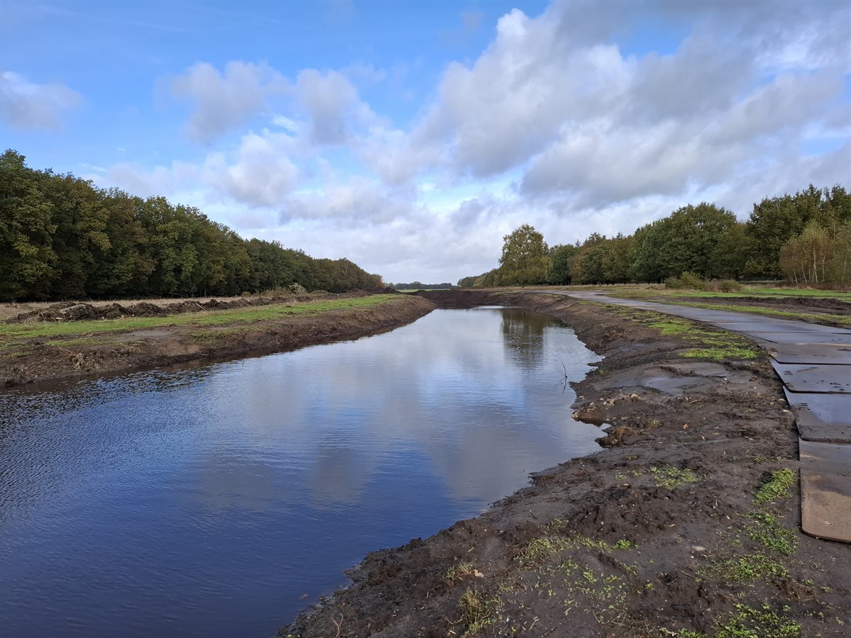 aan de bosrand is te zien hoe water naar het Hunzebos stroomt