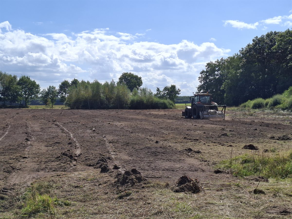 een tractor is de wortels aan het vermalen op het veld