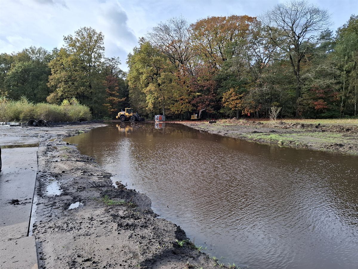 aan de bosrand is te zien hoe water het Hunzebos instroomt