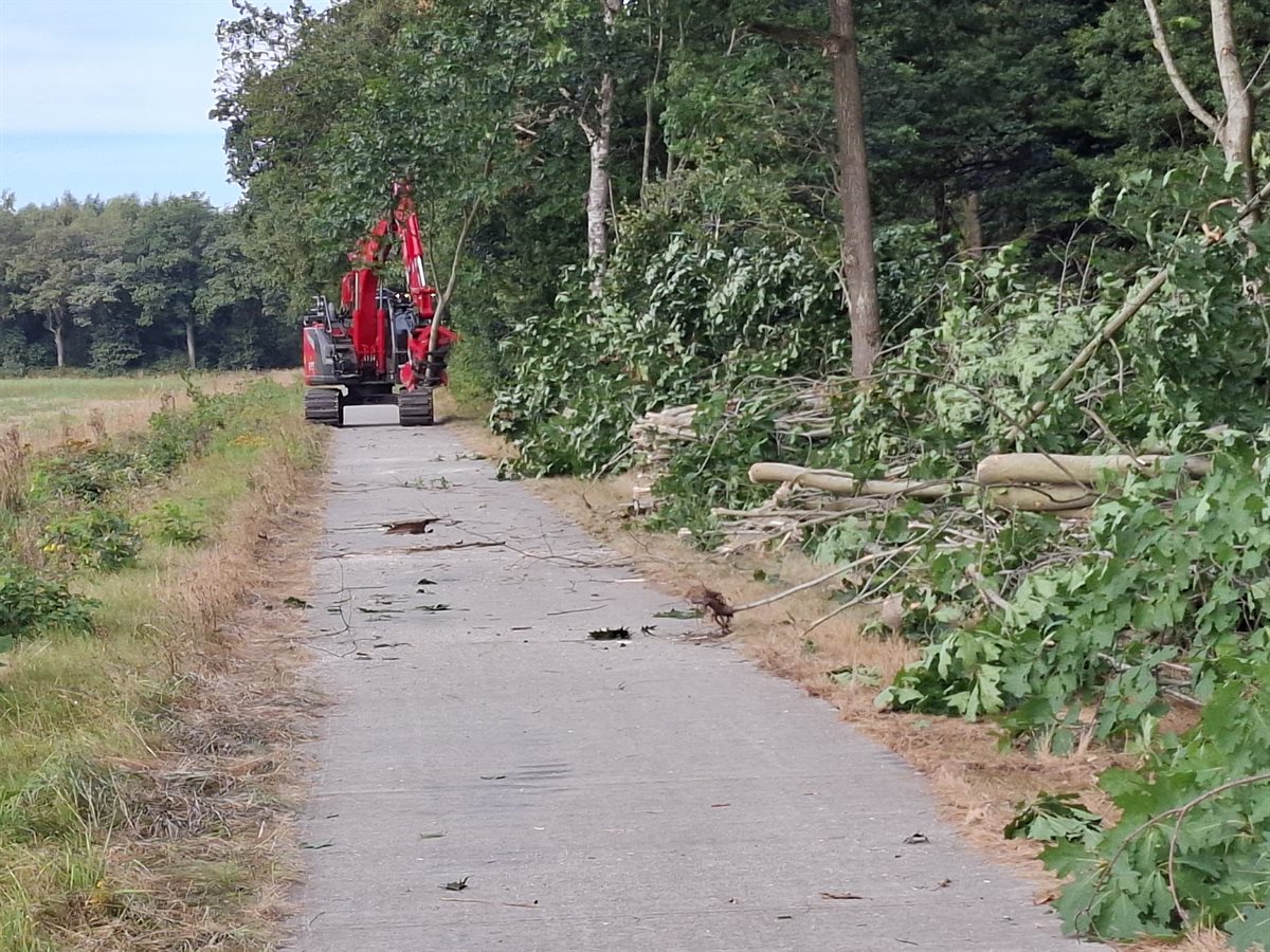 bomen aan de bosrand worden gekapt