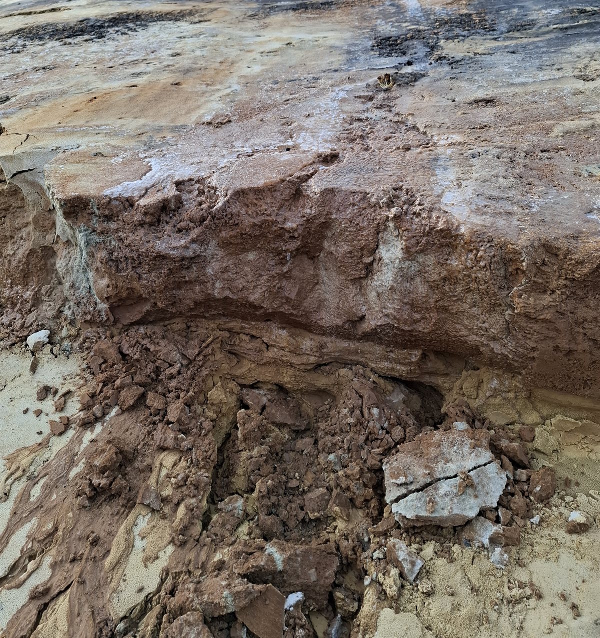 keileemlaag in poel van dichtbij