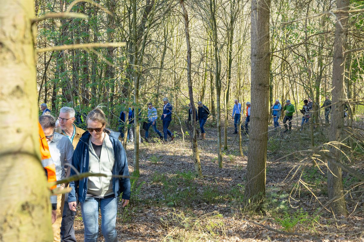 Wandeling vanuit het bos de stuifduin op