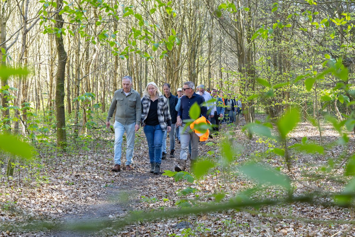 Wandeling door het bos richting de stuifduin